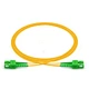 SC to SC APC Fiber Optic Patch Cable Cord
